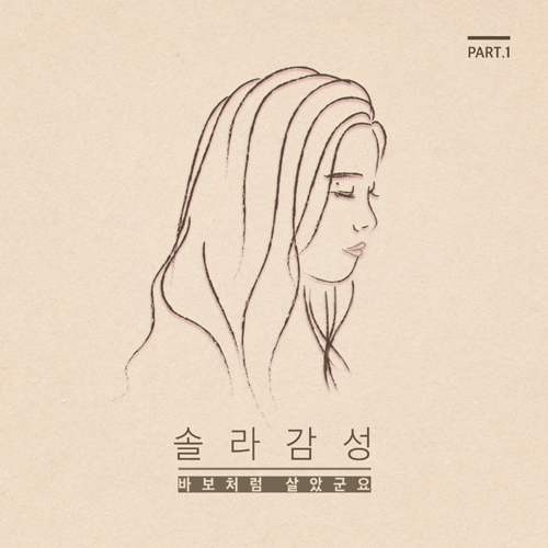 그리움만 쌓이네 앨범이미지