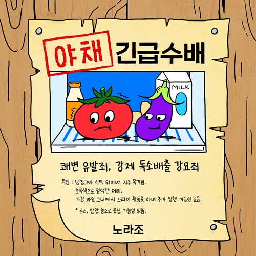 야채 앨범이미지