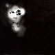 Why (Chor.) 。 앨범이미지