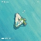 ISLAND (가이드멜로디) 앨범이미지