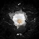 Lonely Together (Ft. Rita Ora) 앨범이미지