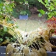 New born (가이드멜로디) 앨범이미지