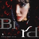 Bird 앨범이미지