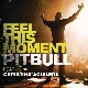 Feel This Moment (Ft. Christina Aguilera) 앨범이미지